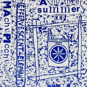 Another Summer Of Grass