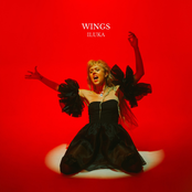 Iluka: Wings