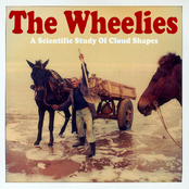 A Scientific Study Of Cloud Shapes