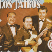 trio los jaibos