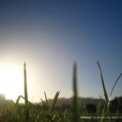 Springs, RE:Makes and Mixes of RF