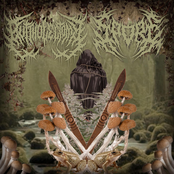 SPOREBORNE SUPPURATION