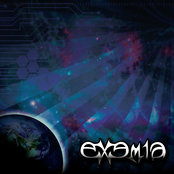 The Synesthethic Experience