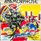 Anamorphose