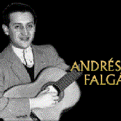 andres falgas