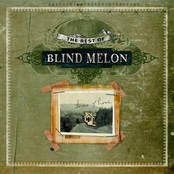 Blind Melon: The Best of Blind Melon