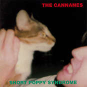 Strange Memories by The Cannanes