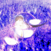 SLINKKER SACRED COLLECTION