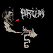 Polluted Sessions 2020