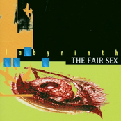 Miss Dissatisfied by The Fair Sex