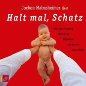 Es Soll Steinersch Gezupft Werden by Jochen Malmsheimer