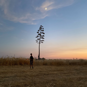 Alone