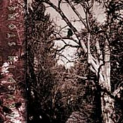 The Forgotten Belief