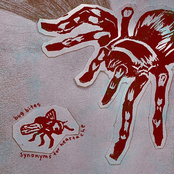 synonyms for heartache