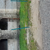 Buttholes Are Nothing to Be Laughed at