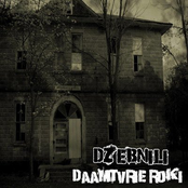 Daamtvrie Roki