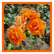 Pathways: Make Your Life a Little Better