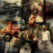 Eccentric Phobia of Being
