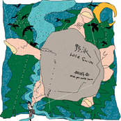 Wild Swim
