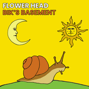 Bik's Basement - Single