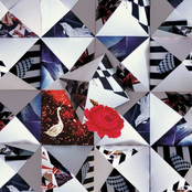 Curiouser And Curioser