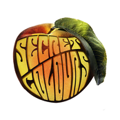 My Home Is In Your Soul by Secret Colours