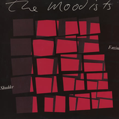 Chatter Shapes by The Moodists