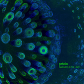 Darkness in the Light