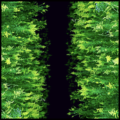 King Of Ghosts [single]