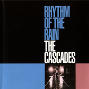 Rhythm of the Rain