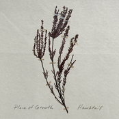 Hawktail: Place of Growth