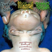Repugnant Birth Of Anomalous Entities
