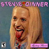 Stevie Dinner: Mystery Flavor