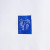 Rainbows in the Gasoline