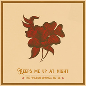 The Wilson Springs Hotel: Keeps Me Up At Night