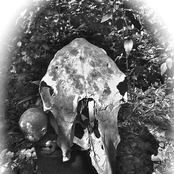 Fucking with Spirits