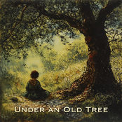 Under an Old Tree