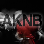 AKNB