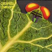 catapila