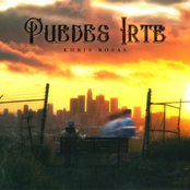 Puedes Irte
