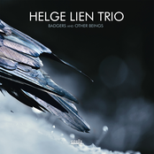 Folkmost by Helge Lien Trio