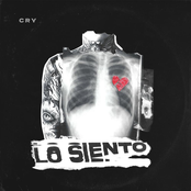 Lo Siento