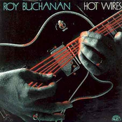 The Blues Lover by Roy Buchanan