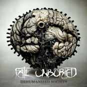 Dehumanized Society