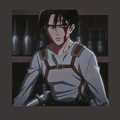 Widow: levi ackerman