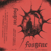 Ancora tumulti Ancora tempesta