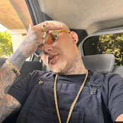 ELA PARTIU PRA SERRA (MTG)