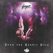 Down The Rabbit Hole