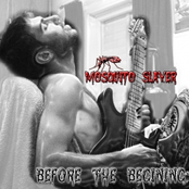 Before the Begining
