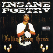 Insane Poetry: Fallen From Grace